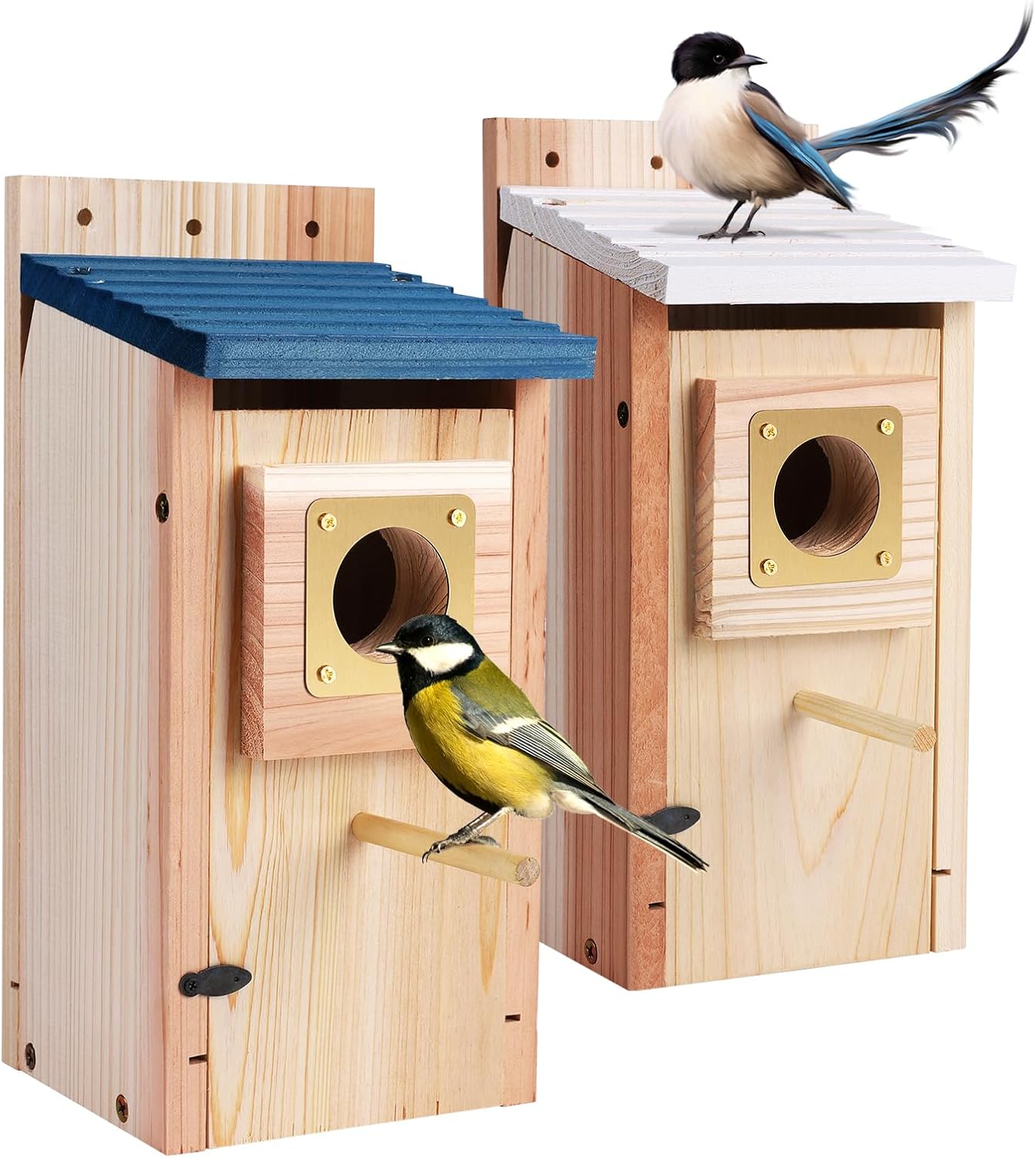 Bird Houses for Outside 2Pack with Copper Guard,Thicken Wooden Bluebird House Clearance Garden Country Cottages, Nesting Box for Finch Swallow Wren Chickadee Wild Bird Supplies, Easy to Assemble