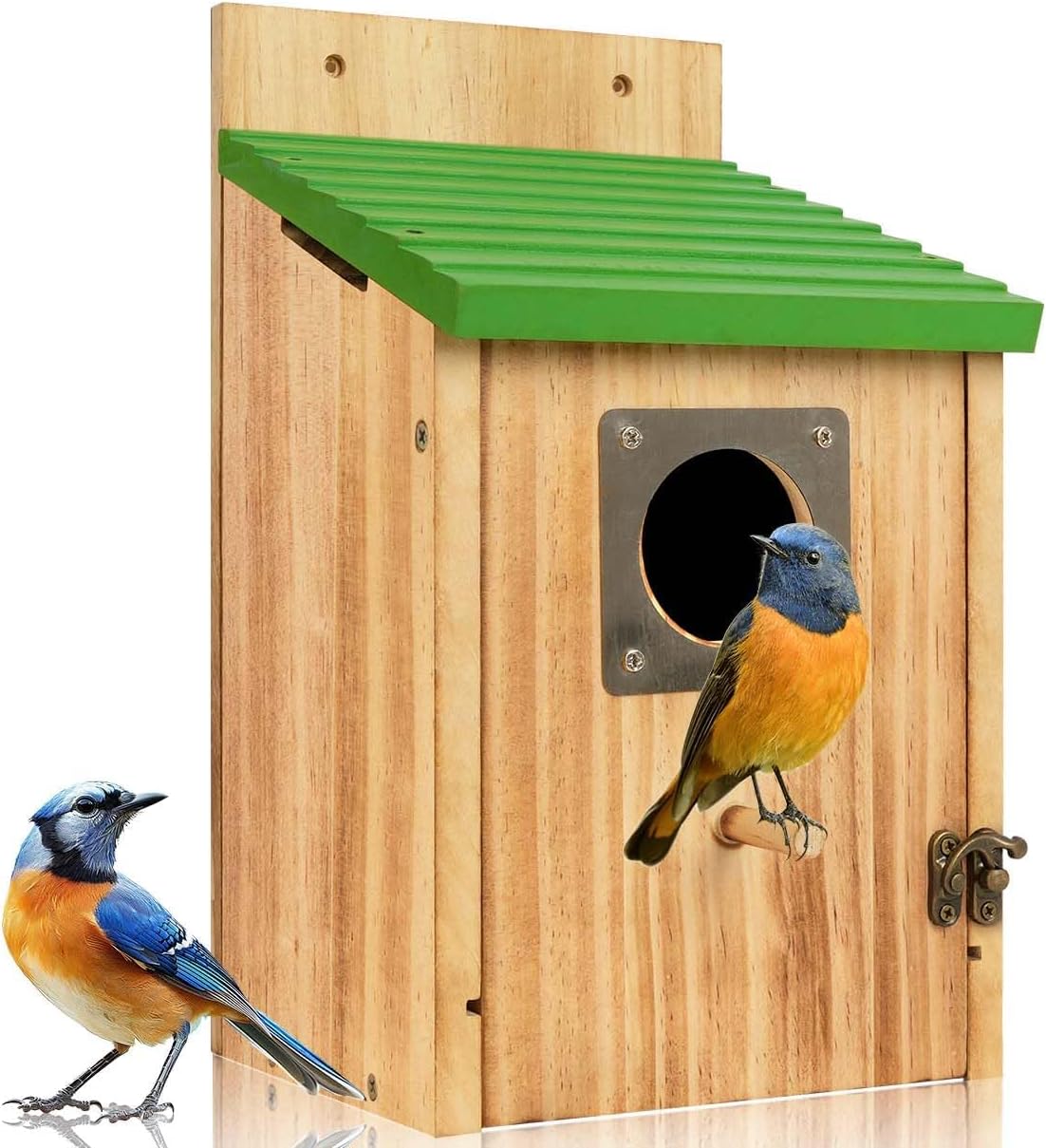 2 Pack Bird Houses for Outside - Cedar Bluebird Houses with Metal Predator Guard, Birdhouse for Wren Bluebirds Finches Swallows, Carbonized Wooden