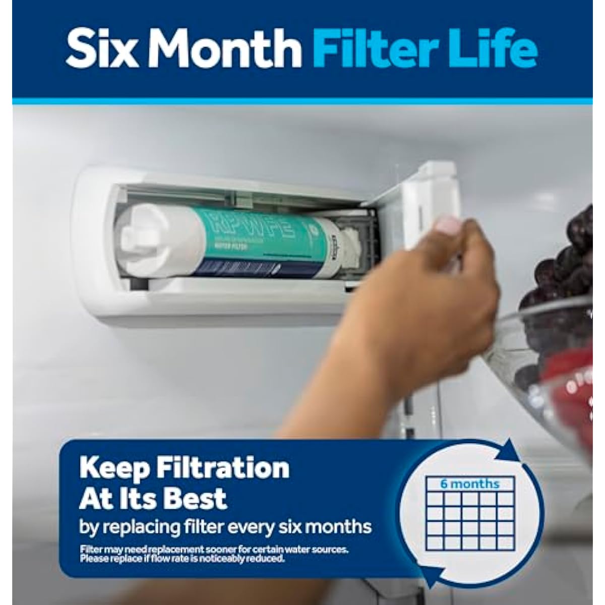 GE RPWFE Refrigerator Water Filter, Genuine Replacement Filter, Certified to Reduce Lead, Sulfur, and 50+ Other Impurities, Replace Every 6 Months for Best Results, Pack of 1