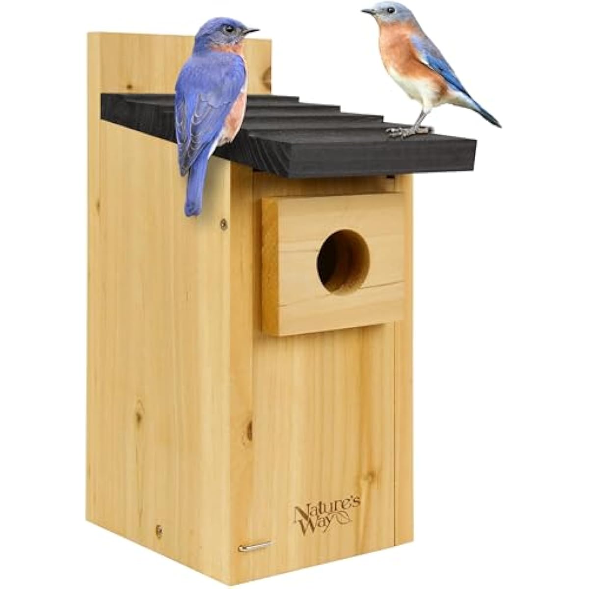 Wild Wings WWCH3 Cedar Blue Bird Box House