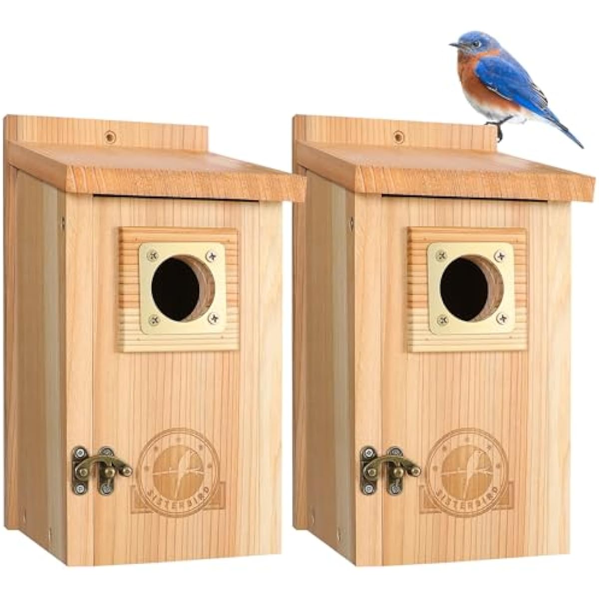 SISTERBIRD 2 Pack Bird Houses for Outside Clearance with Copper Guard, Cedar Bird House Outdoor, Bluebird Finch Swallow Wren Chickadee Assembly Required