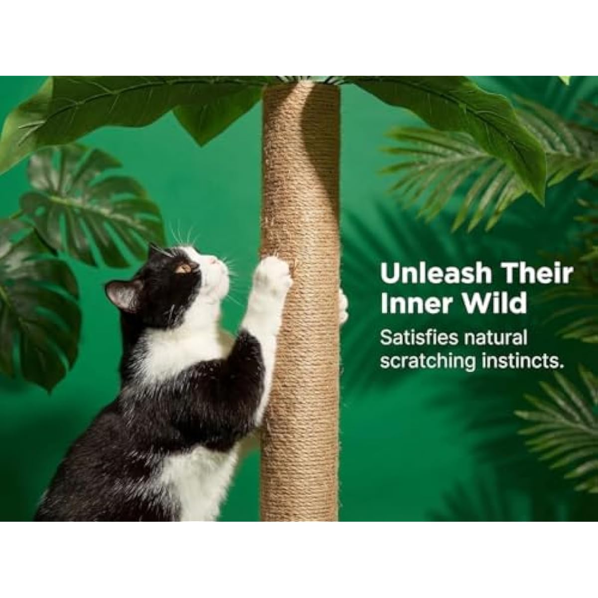 31.5Inch Cat Scratching Post,Cat Scratcher Tree with 3 Scratching Poles & 2 Interactive Dangling Balls,Cats Scratching Posts for Indoor Kitten & Adult Cats