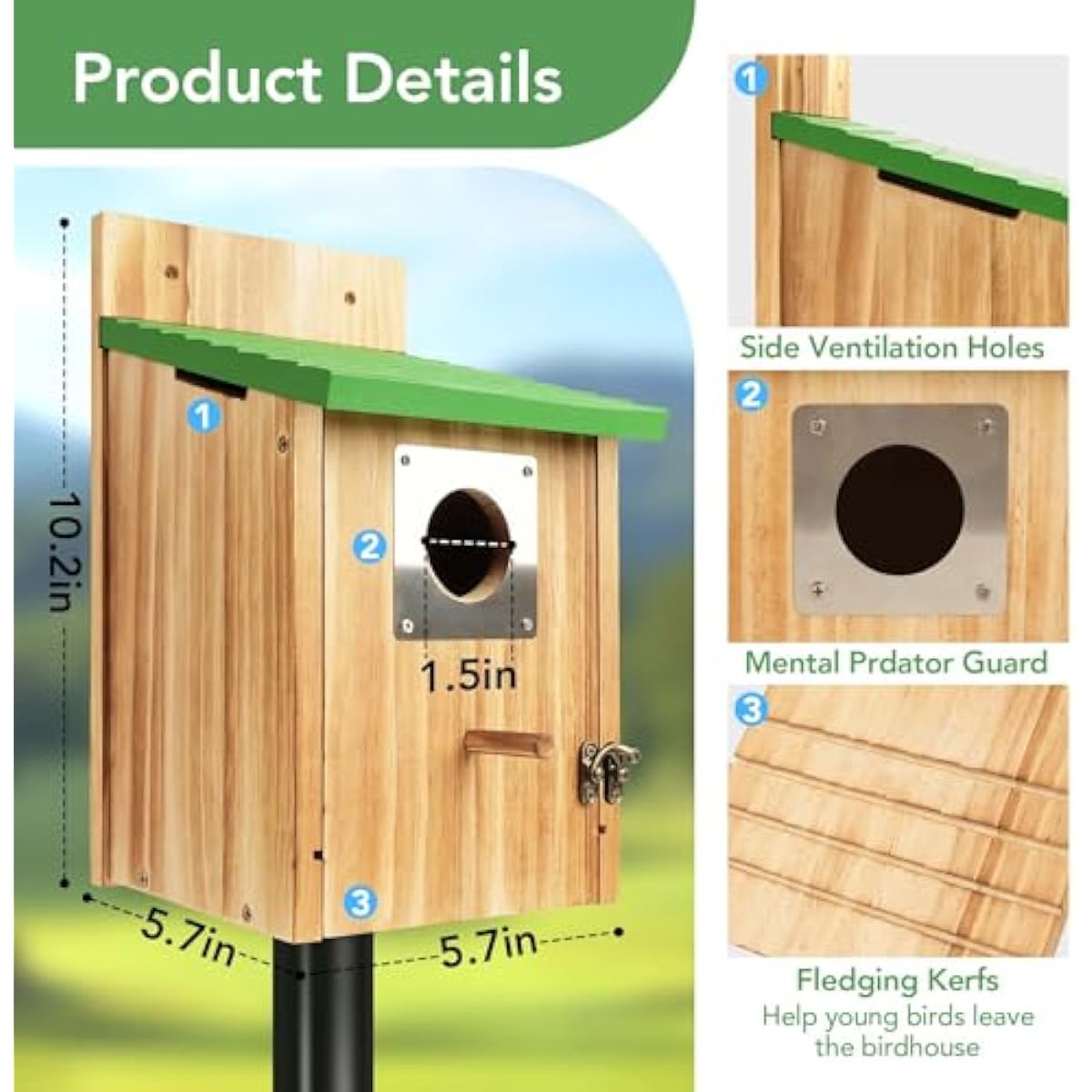 2 Pack Bird Houses for Outside - Cedar Bluebird Houses with Metal Predator Guard, Birdhouse for Wren Bluebirds Finches Swallows, Carbonized Wooden