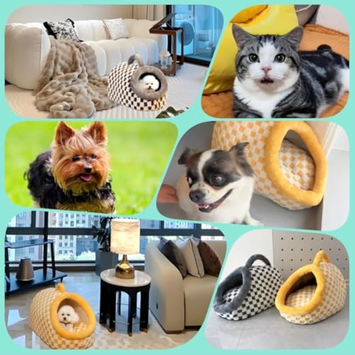 Cat Bed for Indoor Cats - Cat Cave Beds Cat House Cat Tent with Removable Washable Cushioned Pillow, Soft Kitten beds,Cat Beds & Furniture, for Small and Medium Pet Bed (Yellow, M)