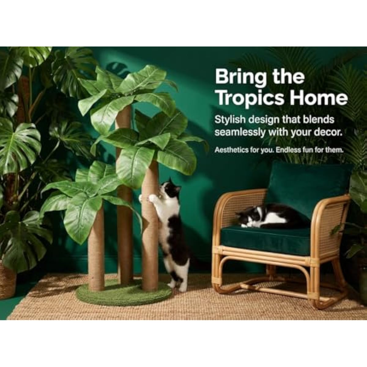 31.5Inch Cat Scratching Post,Cat Scratcher Tree with 3 Scratching Poles & 2 Interactive Dangling Balls,Cats Scratching Posts for Indoor Kitten & Adult Cats