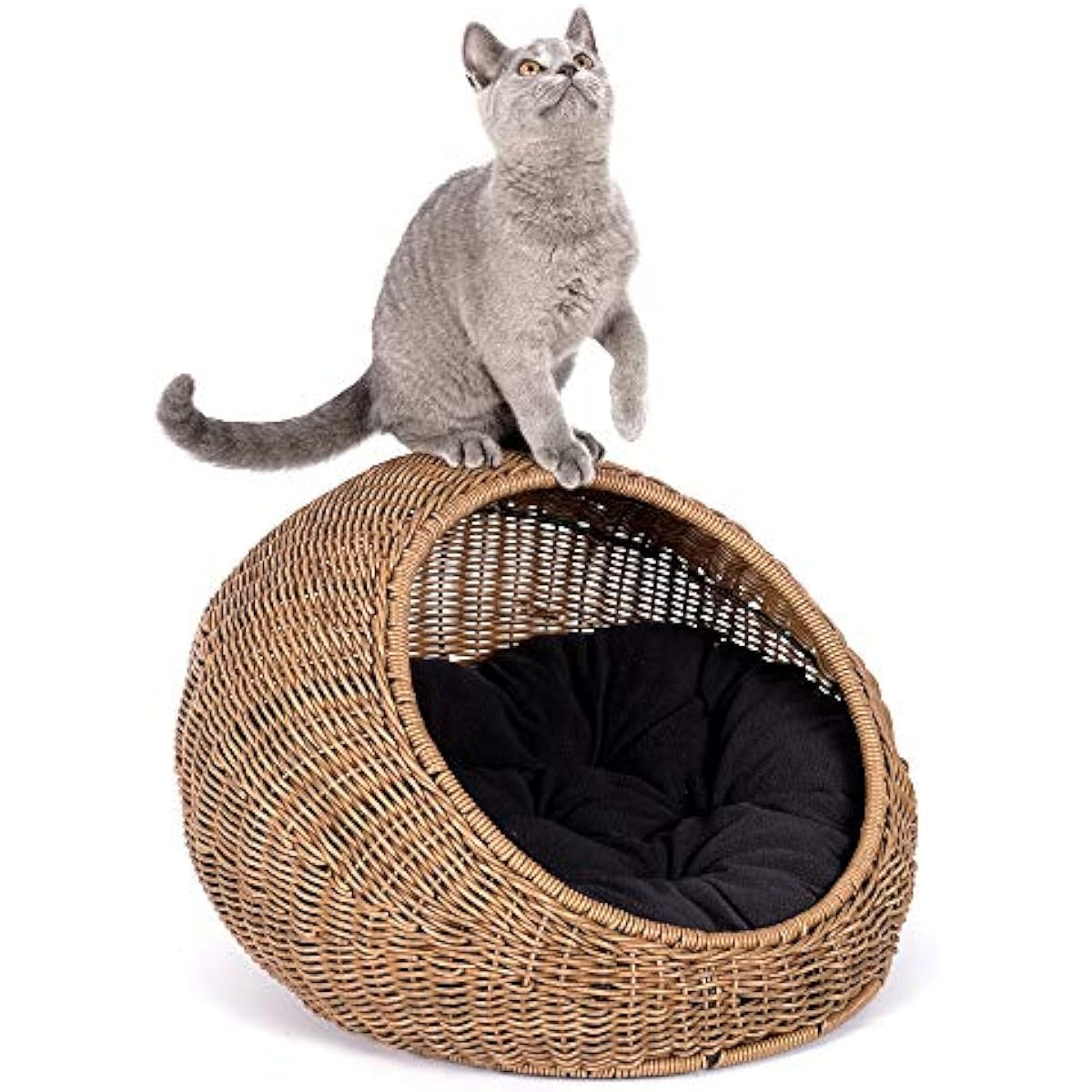 D+GARDEN Wicker Cat Bed Dome for Medium Indoor Cats - a Covered Cat Hideaway Hut of Faux Rattan Houses Pets in Dome Basket, Washable
