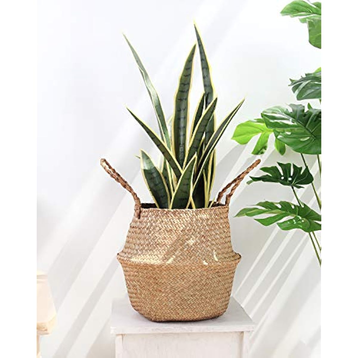 Woven Seagrass Belly Basket for Storage, Plant Pot, Laundry, Picnic and Grocery Basket with Handle (Large, Original)