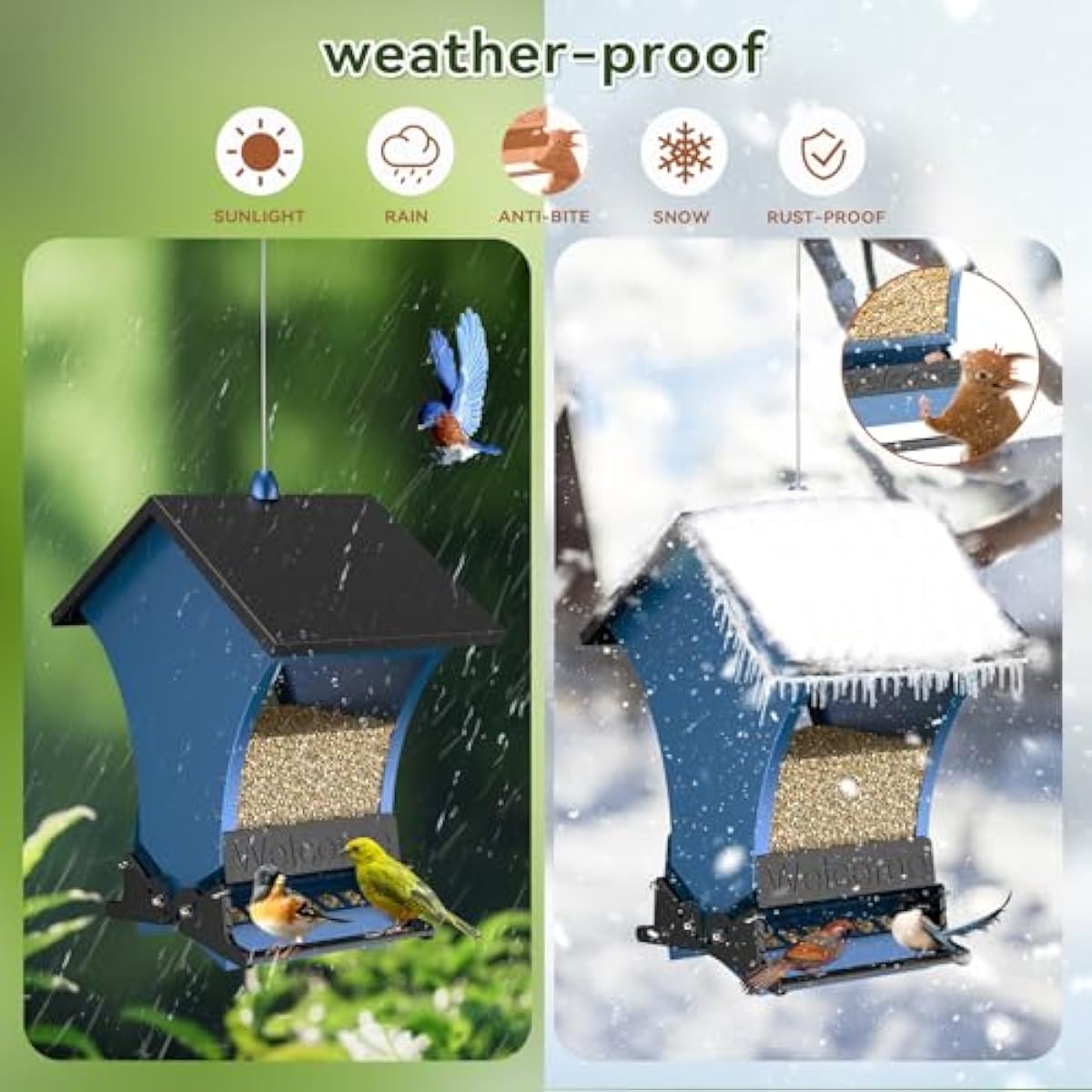 Wildpark Squirrel Proof Bird Feeders for Outdoors, 5LB Metal Hanging Feeders, Large Wild Feeders for Cardinals, Chickadees, Durable Backyard Feeders -One in Blue