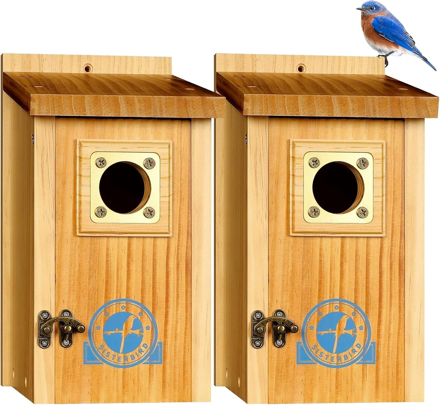 SISTERBIRD 2 Pack Bird Houses for Outside Clearance with Copper Guard, Cedar Bird House Outdoor, Bluebird Finch Swallow Wren Chickadee Assembly Required
